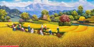 Tranh ruộng bậc thang mùa màng gặt Lúa chín St34